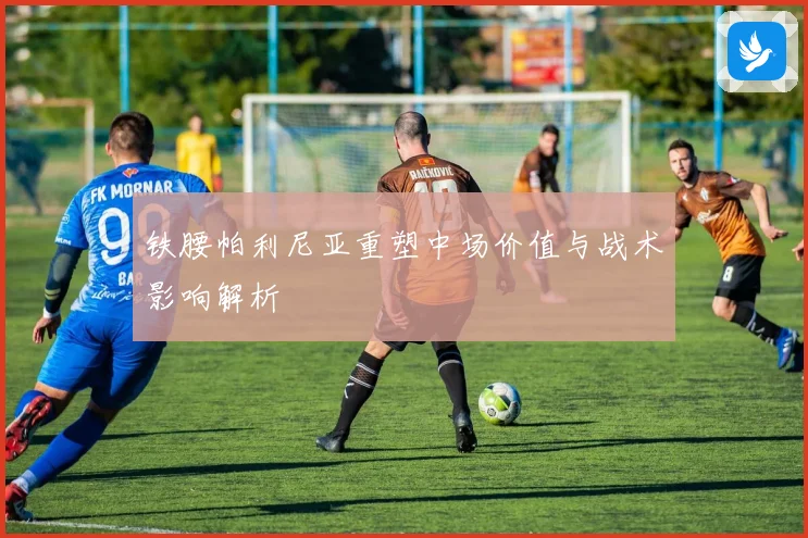 铁腰帕利尼亚重塑中场价值与战术影响解析