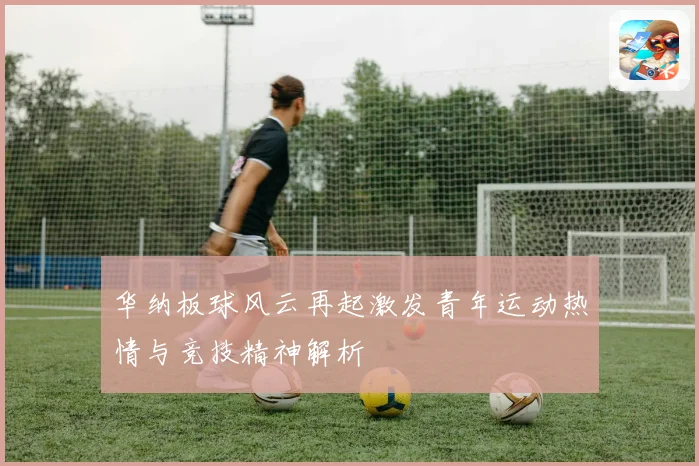华纳板球风云再起激发青年运动热情与竞技精神解析