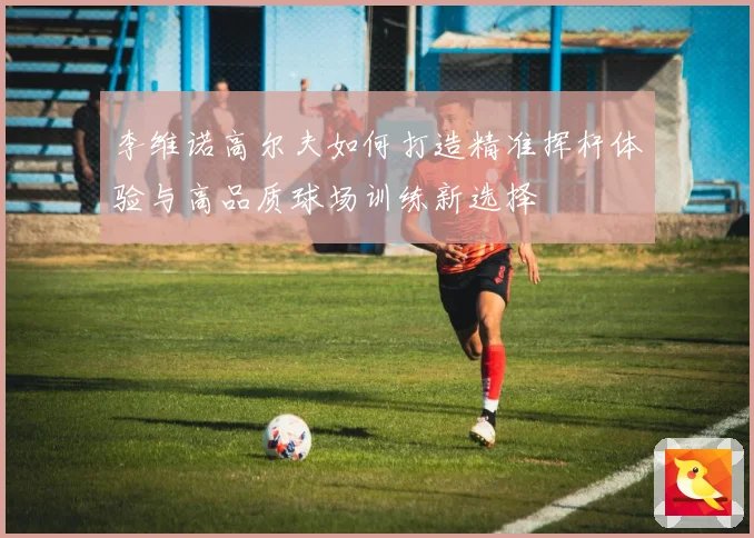 李维诺高尔夫如何打造精准挥杆体验与高品质球场训练新选择