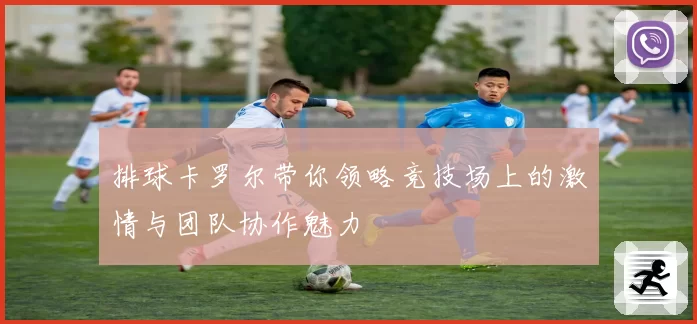 排球卡罗尔带你领略竞技场上的激情与团队协作魅力