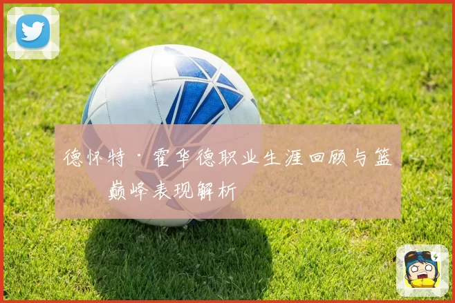 德怀特·霍华德职业生涯回顾与篮球巅峰表现解析