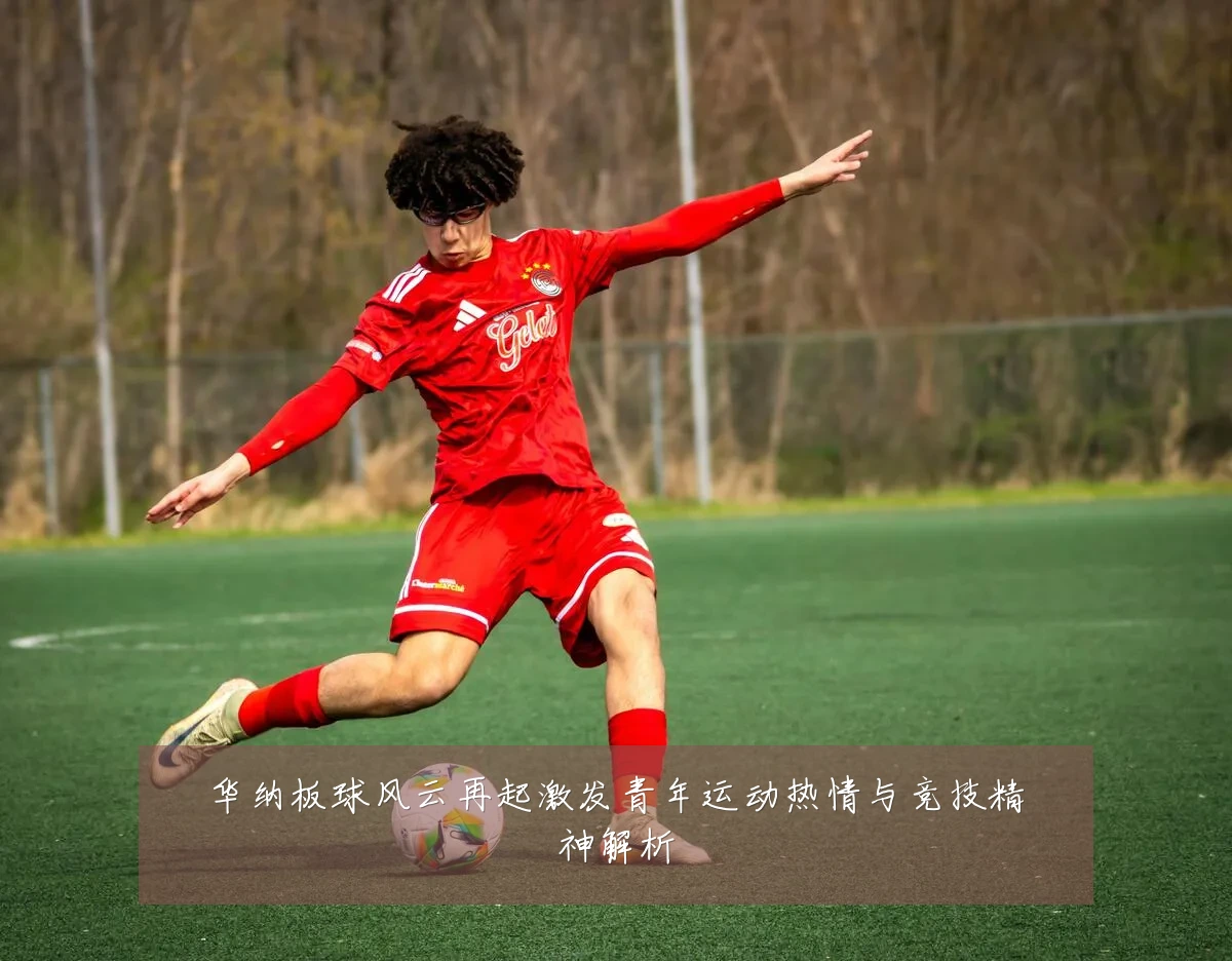 华纳板球风云再起激发青年运动热情与竞技精神解析