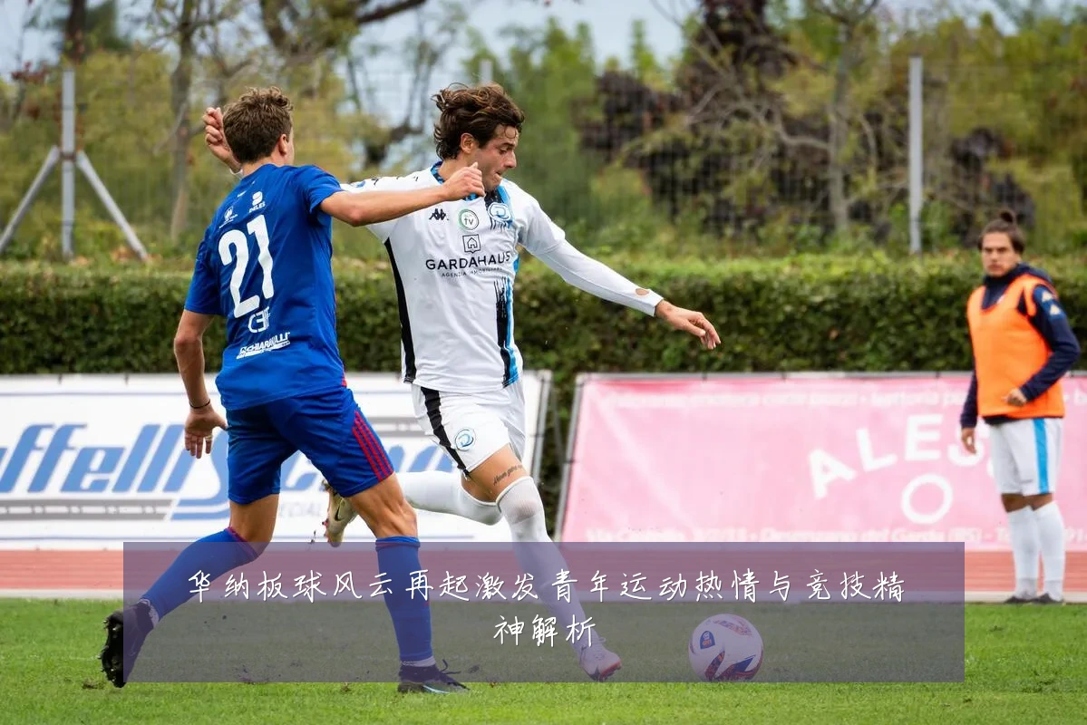 华纳板球风云再起激发青年运动热情与竞技精神解析